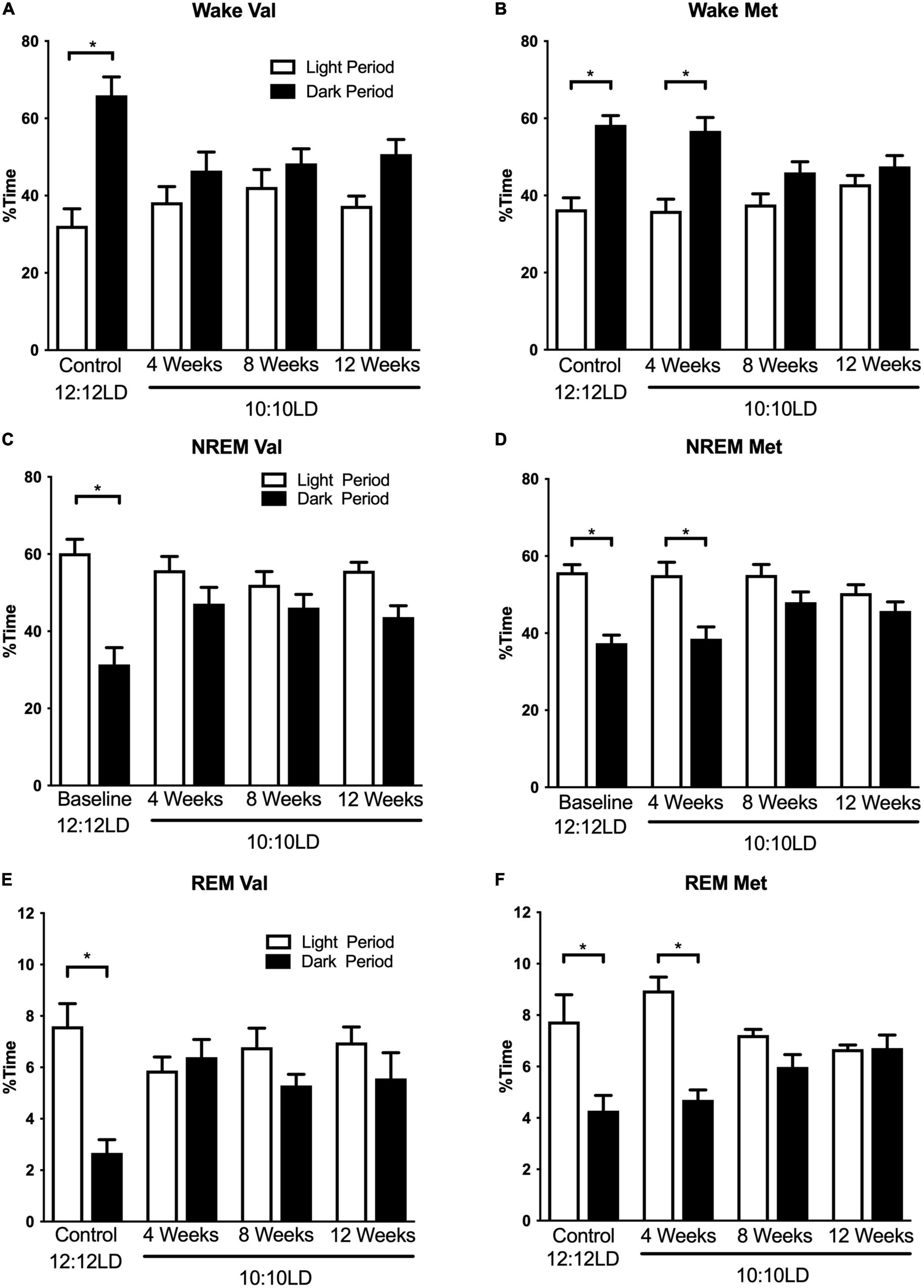 Brain-derived neurotrophic factor Val66Met polymorphism modulates the effects of circadian desynchronization on activity and sleep in male mice